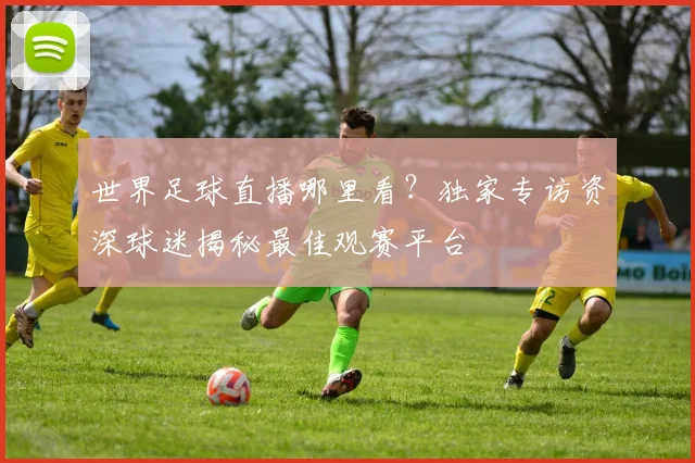 世界足球直播哪里看？独家专访资深球迷揭秘最佳观赛平台