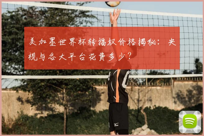 美加墨世界杯转播权价格揭秘：央视与各大平台花费多少？